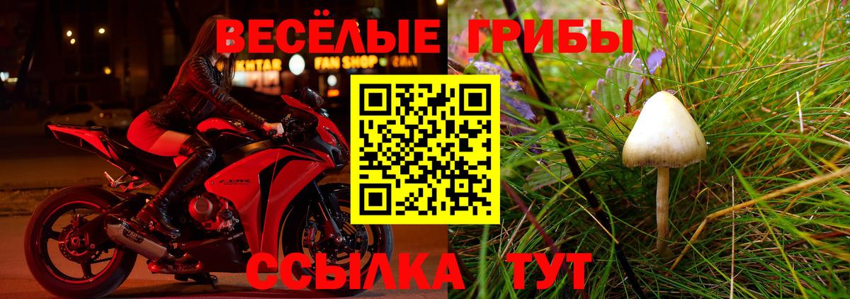 Вичуга  Галлюциногенные грибы Magic Shrooms  Вход с VPN 